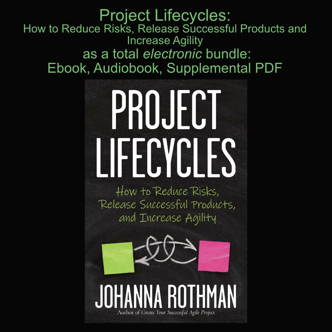 Project Lifecycles: How to Reduce Risks, Release Successful Products, and Increase Agility