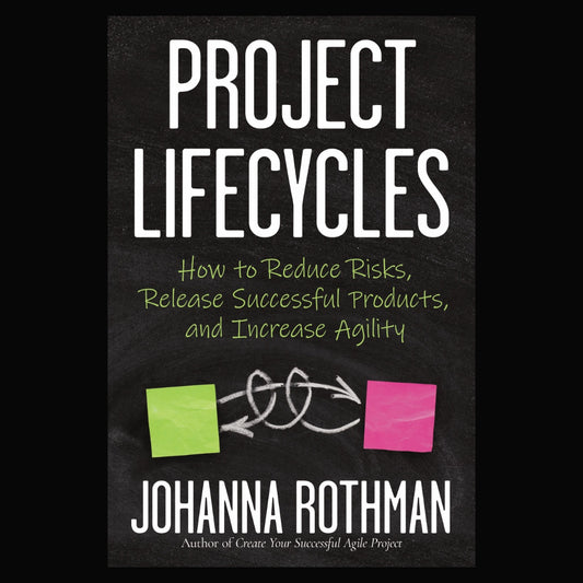 Project Lifecycles: How to Reduce Risks, Release Successful Products, and Increase Agility